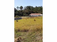 Minimalistic Livingroom